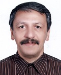 دکتر سید حسن فیروزآبادی